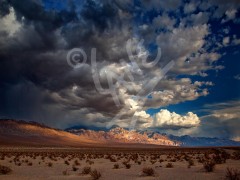 CALIFORNIA Panamint Valley